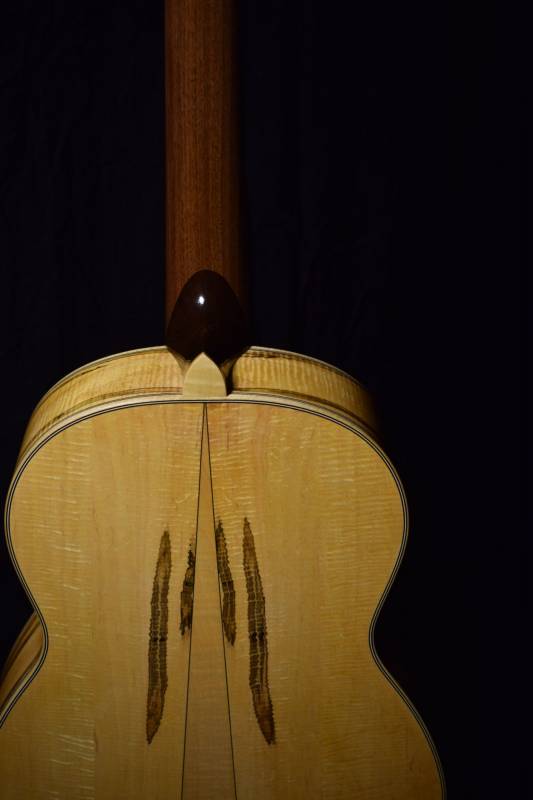 Ambrosia Maple Back and Sides with a black walnut neck