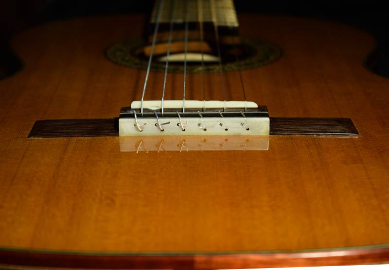 12 hole design with bone backing