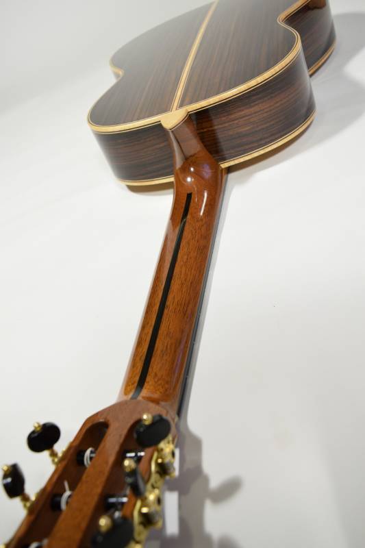 African Mahogany Neck