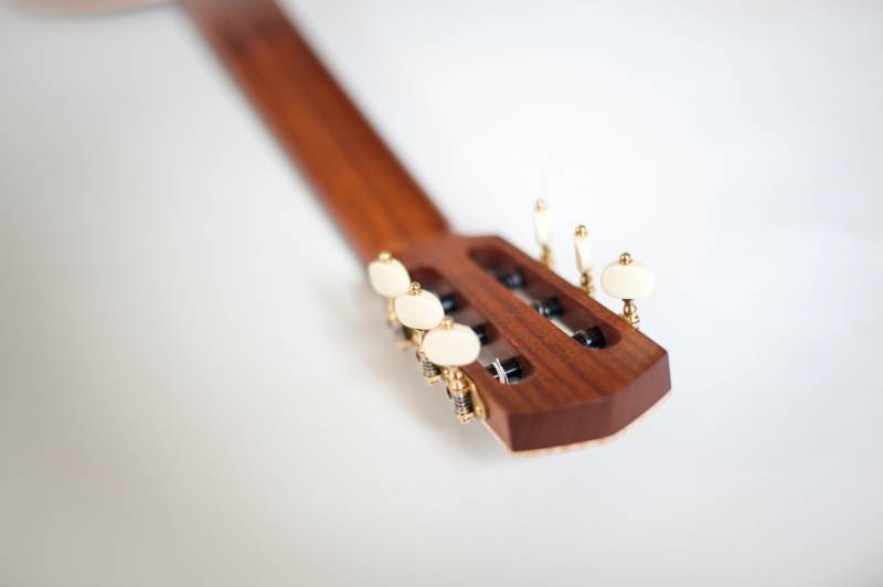 African Mahogany Neck