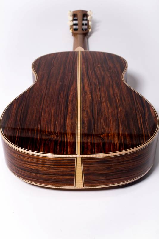 Brazilian Rosewood Guitar Back