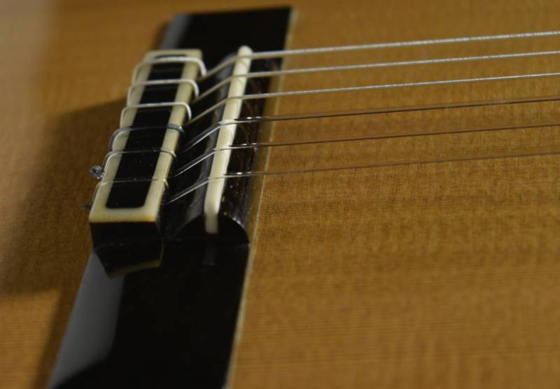 Ebonized Osage Orange Bridge
