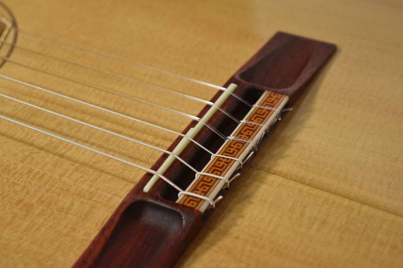 Modern Bridge Design