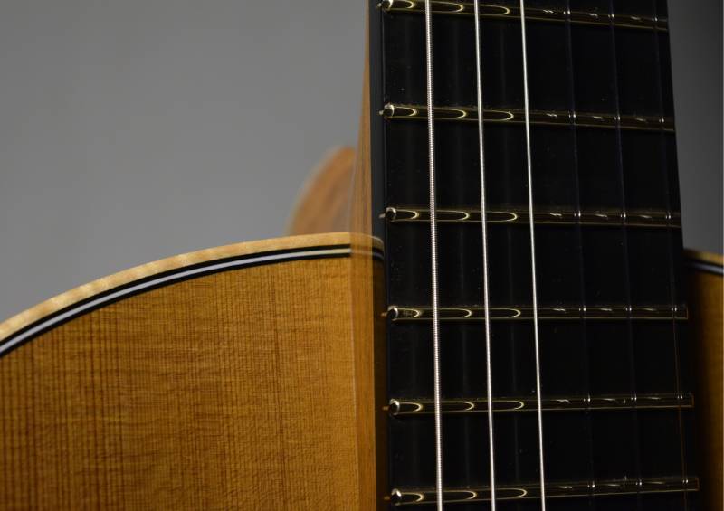 Richlite (Ebony substitute) with Gold Evo Frets