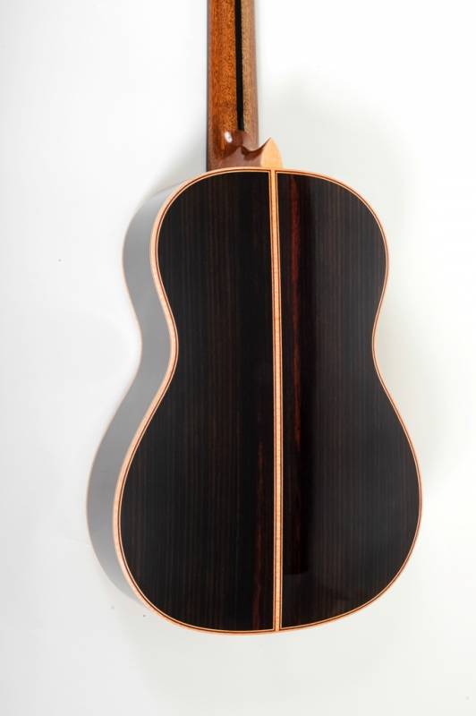 Indian Rosewood Back and Sides