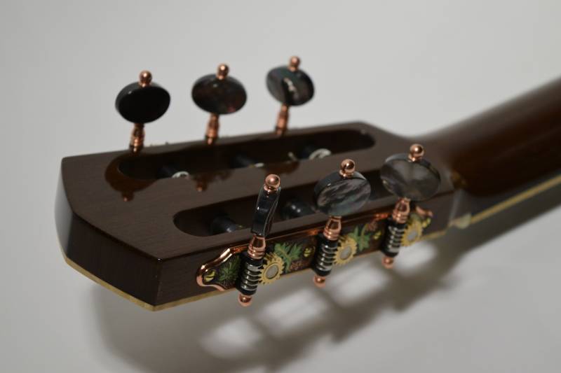 This Tropical Walnut Neck is very similar to Spanish cedar in density and workability