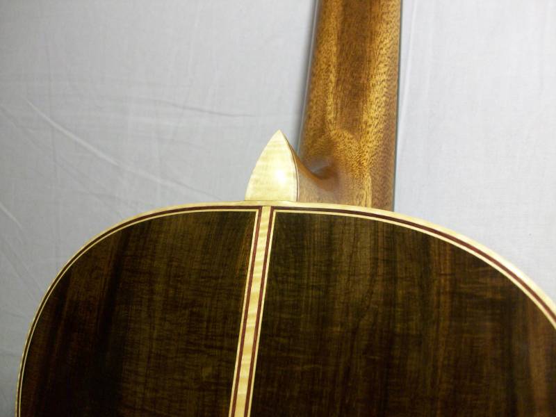 Tiger Maple Binding