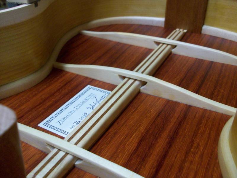 Alternative Back Bracing Design