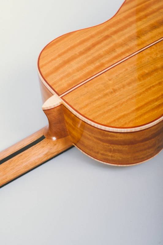 French Polish of Shellac Finish