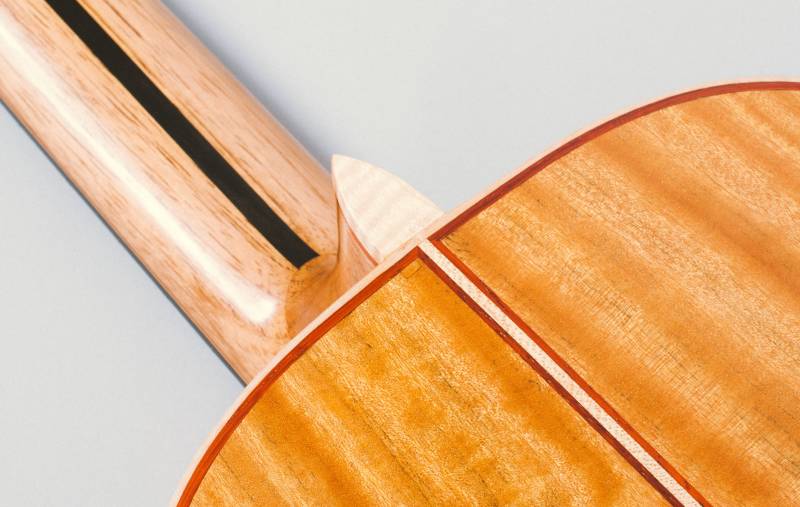 Something in this picture doesn't belong ;)