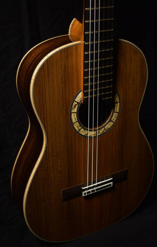 Elegant Body Profile