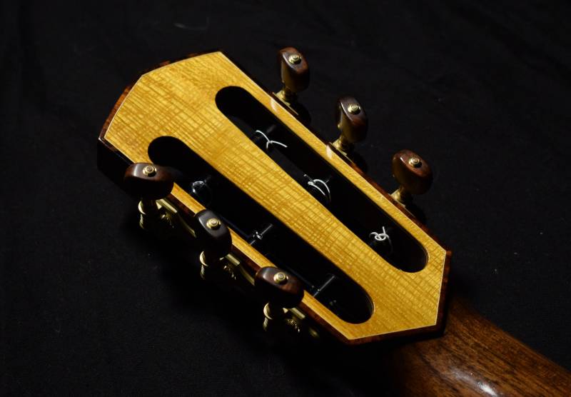 Ironwood Burl Headstock Binding