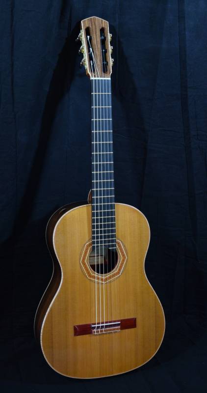 Portrait of Guitar 19