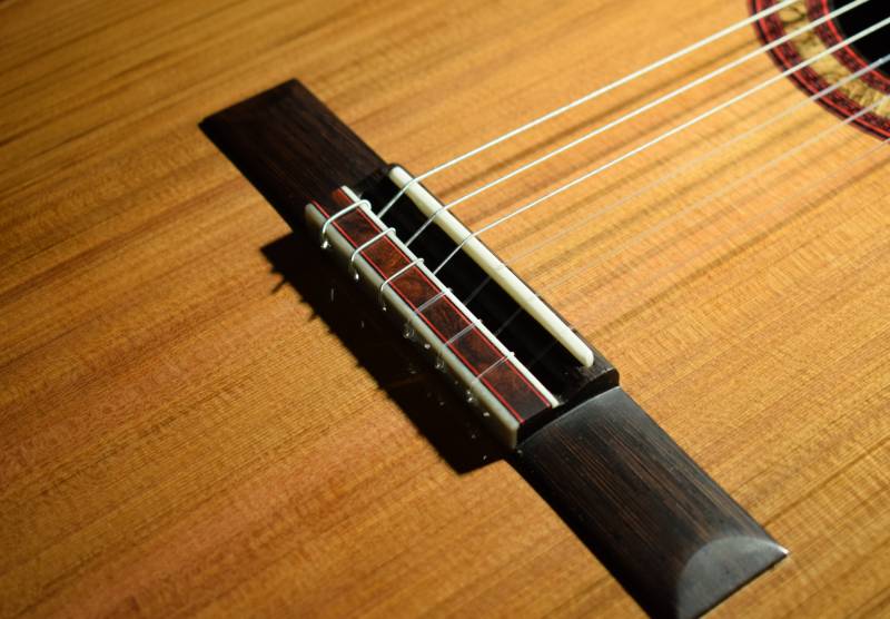 Tie block inlay Desert Ironwood Burl