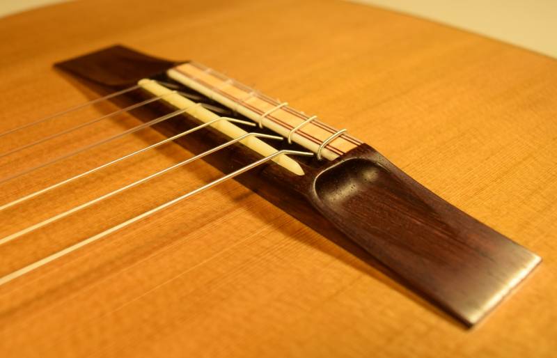 Honduran Rosewood Bridge