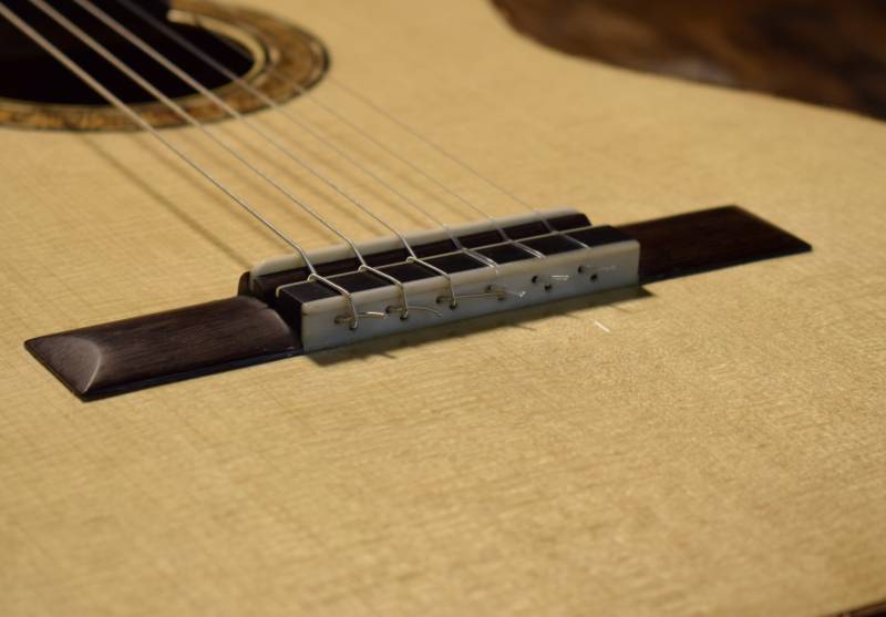 12 hole tie block with a bone guard to reinforce and prevent long term wear in the holes