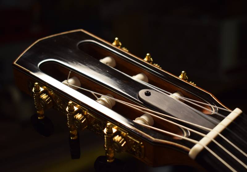 Truss Rod Two way adjustable truss rod accessible from the headstock.