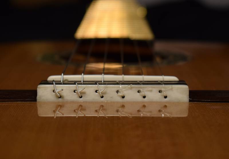 12 hole with bone backing 