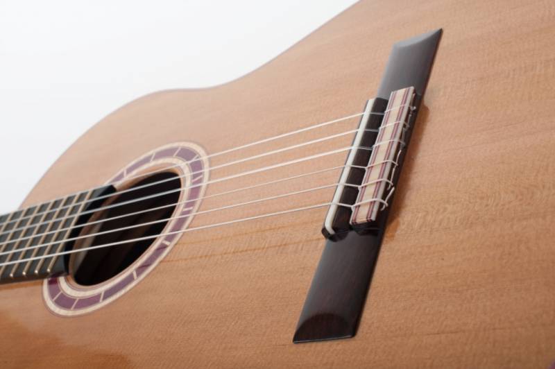 Indian Rosewood Bridge