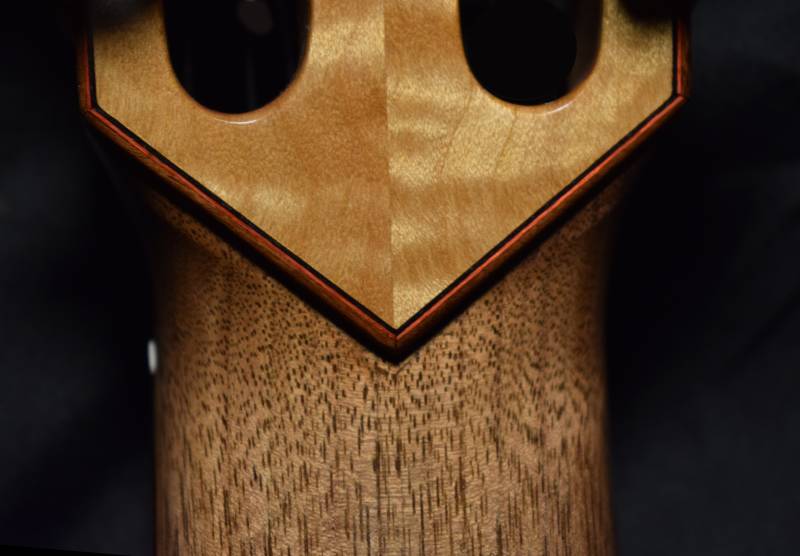 Headstock Detail