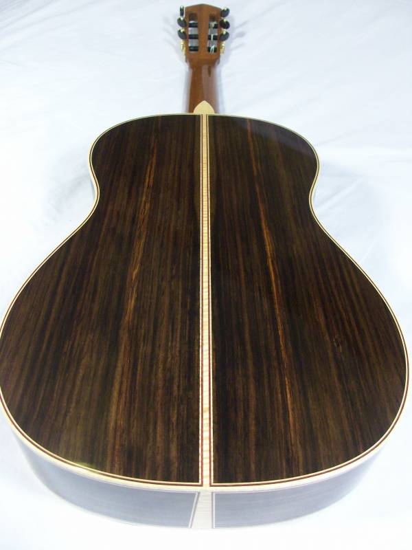 Orange Hue in the Rosewood