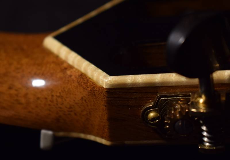 Head Back-plate Binding