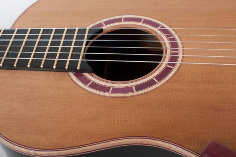 View of Binding and Purfling