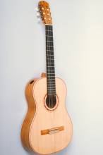 Jamaican Guitar Portrait