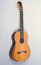 Guitar No. 15 Studio Portraits